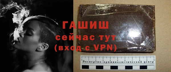 твердый Снежногорск