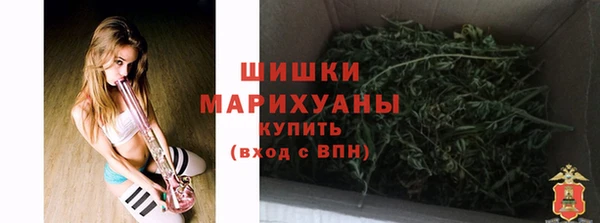 2c-b Бородино