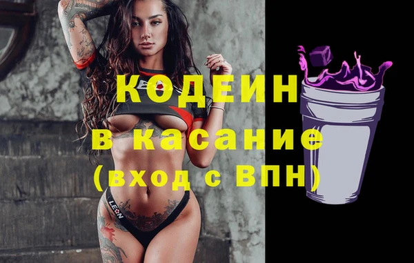 2c-b Бородино