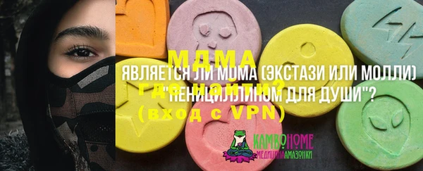 2c-b Бородино