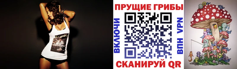 где продают наркотики  Кизляр  Галлюциногенные грибы прущие грибы 